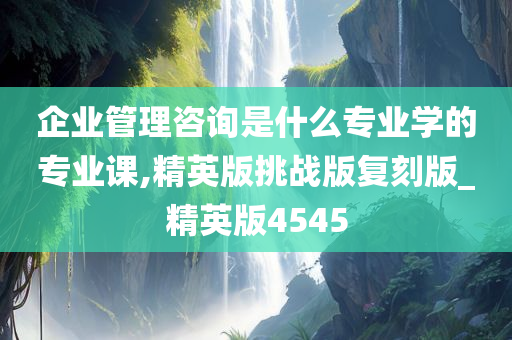 企业管理咨询是什么专业学的专业课,精英版挑战版复刻版_精英版4545