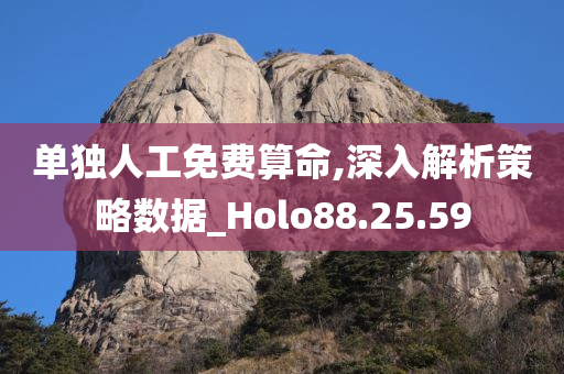 单独人工免费算命,深入解析策略数据_Holo88.25.59