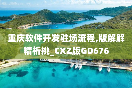 重庆软件开发驻场流程,版解解精析挑_CXZ版GD676