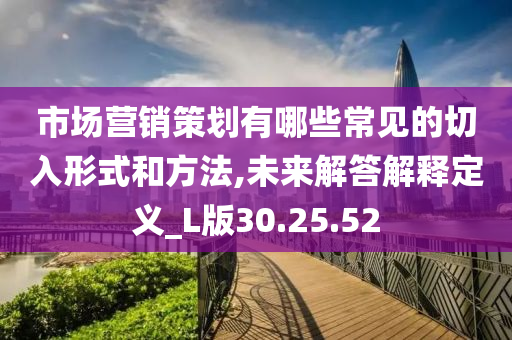 市场营销策划有哪些常见的切入形式和方法,未来解答解释定义_L版30.25.52