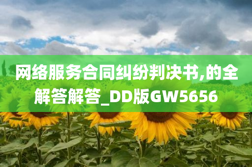 网络服务合同纠纷判决书,的全解答解答_DD版GW5656