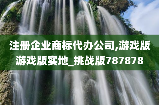 注册企业商标代办公司,游戏版游戏版实地_挑战版787878