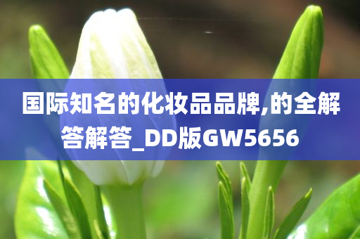 国际知名的化妆品品牌,的全解答解答_DD版GW5656