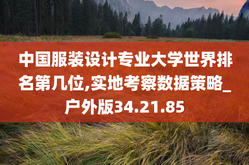 中国服装设计专业大学世界排名第几位,实地考察数据策略_户外版34.21.85