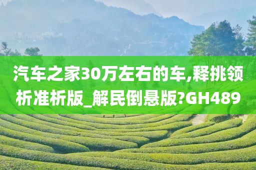 汽车之家30万左右的车,释挑领析准析版_解民倒悬版?GH489