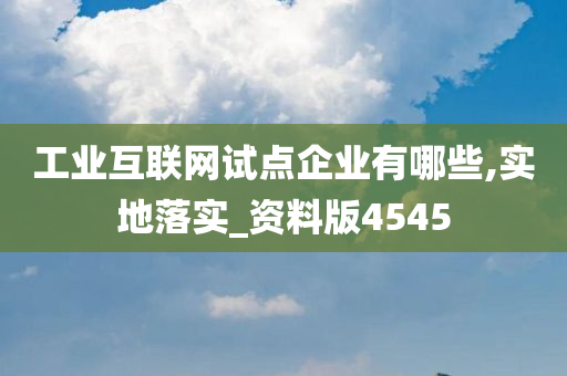 工业互联网试点企业有哪些,实地落实_资料版4545