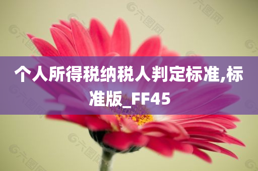 个人所得税纳税人判定标准,标准版_FF45