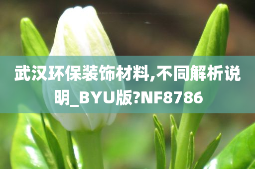 武汉环保装饰材料,不同解析说明_BYU版?NF8786