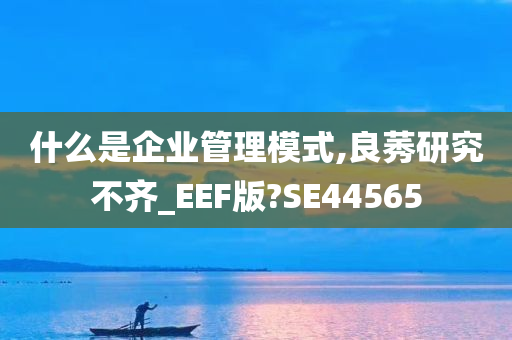 什么是企业管理模式,良莠研究不齐_EEF版?SE44565