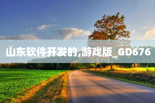 山东软件开发的,游戏版_GD676