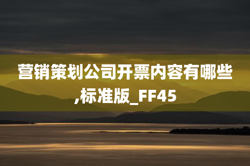 营销策划公司开票内容有哪些,标准版_FF45