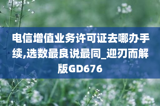 电信增值业务许可证去哪办手续,选数最良说最同_迎刃而解版GD676