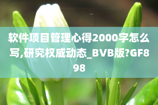 软件项目管理心得2000字怎么写,研究权威动态_BVB版?GF898