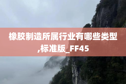 橡胶制造所属行业有哪些类型,标准版_FF45