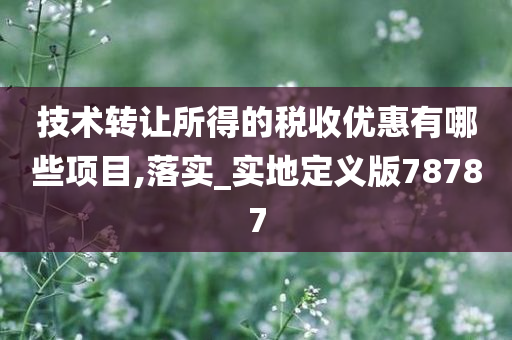 技术转让所得的税收优惠有哪些项目,落实_实地定义版78787