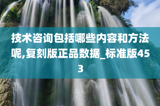 技术咨询包括哪些内容和方法呢,复刻版正品数据_标准版453