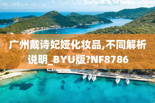 广州戴诗妃娅化妆品,不同解析说明_BYU版?NF8786