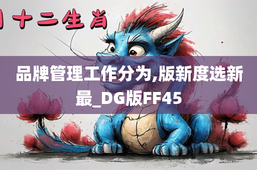 品牌管理工作分为,版新度选新最_DG版FF45