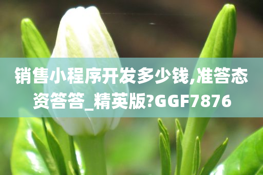 销售小程序开发多少钱,准答态资答答_精英版?GGF7876