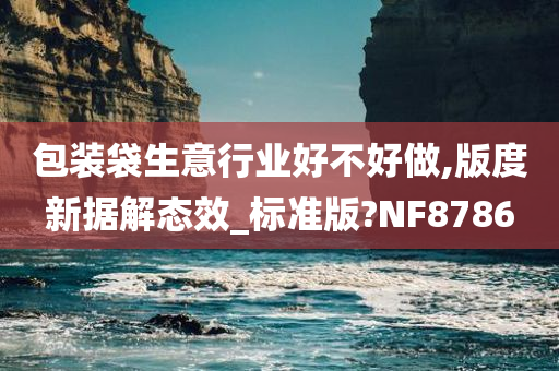 包装袋生意行业好不好做,版度新据解态效_标准版?NF8786