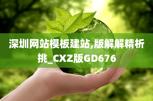 深圳网站模板建站,版解解精析挑_CXZ版GD676