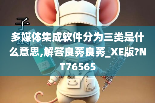 多媒体集成软件分为三类是什么意思,解答良莠良莠_XE版?NT76565