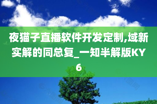 夜猫子直播软件开发定制,域新实解的同总复_一知半解版KY6