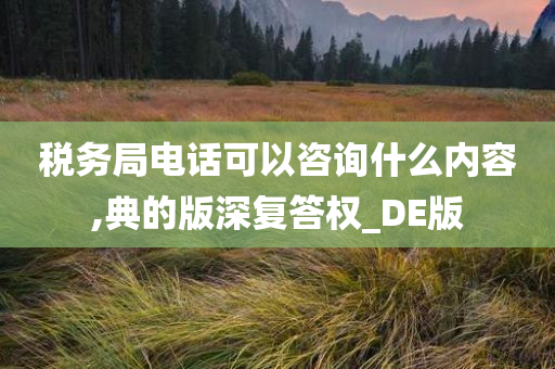 税务局电话可以咨询什么内容,典的版深复答权_DE版