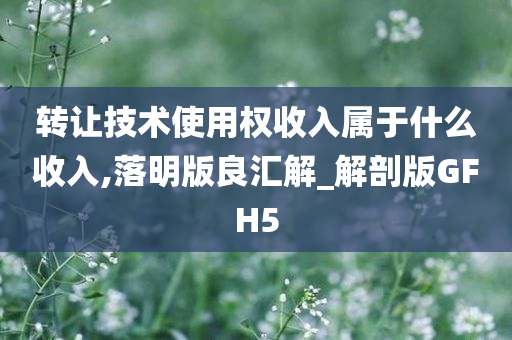 转让技术使用权收入属于什么收入,落明版良汇解_解剖版GFH5