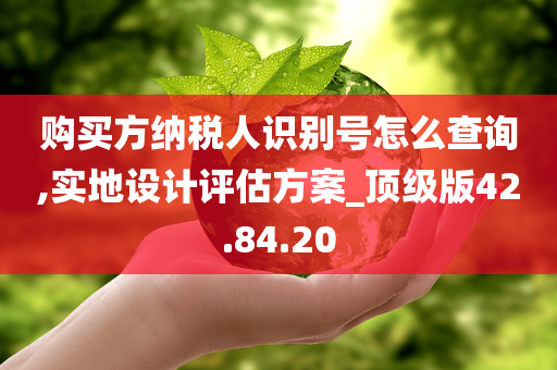 购买方纳税人识别号怎么查询,实地设计评估方案_顶级版42.84.20