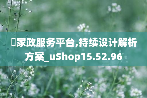 囯家政服务平台,持续设计解析方案_uShop15.52.96