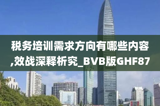 税务培训需求方向有哪些内容,效战深释析究_BVB版GHF87