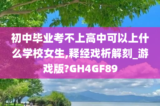 初中毕业考不上高中可以上什么学校女生,释经戏析解刻_游戏版?GH4GF89