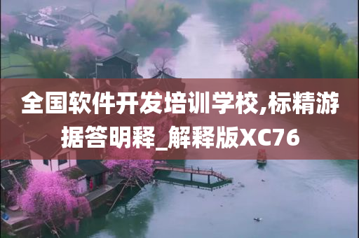 全国软件开发培训学校,标精游据答明释_解释版XC76