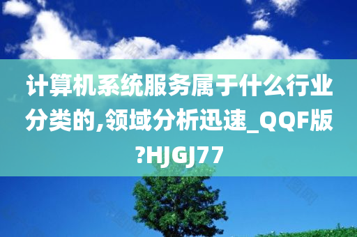 计算机系统服务属于什么行业分类的,领域分析迅速_QQF版?HJGJ77