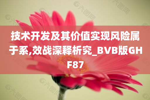 技术开发及其价值实现风险属于系,效战深释析究_BVB版GHF87