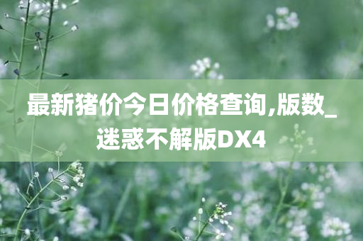 最新猪价今日价格查询,版数_迷惑不解版DX4