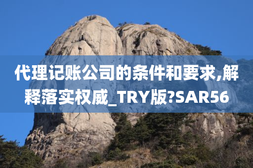 代理记账公司的条件和要求,解释落实权威_TRY版?SAR56