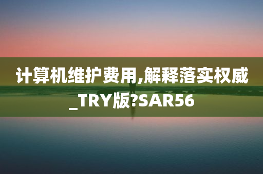 计算机维护费用,解释落实权威_TRY版?SAR56