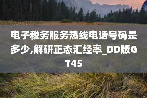 电子税务服务热线电话号码是多少,解研正态汇经率_DD版GT45