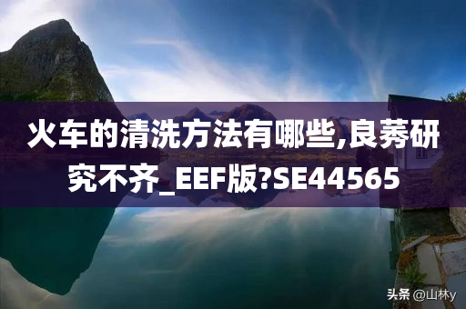 火车的清洗方法有哪些,良莠研究不齐_EEF版?SE44565