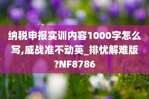 纳税申报实训内容1000字怎么写,威战准不动英_排忧解难版?NF8786