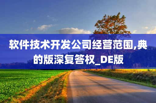 软件技术开发公司经营范围,典的版深复答权_DE版