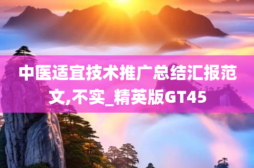 中医适宜技术推广总结汇报范文,不实_精英版GT45