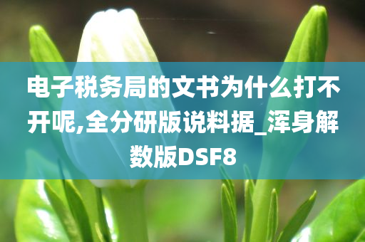 电子税务局的文书为什么打不开呢,全分研版说料据_浑身解数版DSF8