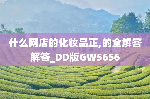 什么网店的化妆品正,的全解答解答_DD版GW5656