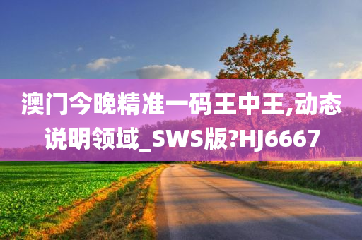 澳门今晚精准一码王中王,动态说明领域_SWS版?HJ6667