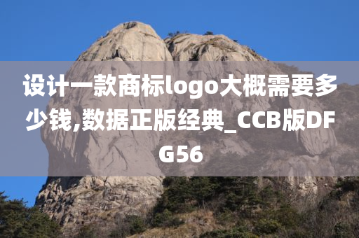 设计一款商标logo大概需要多少钱,数据正版经典_CCB版DFG56