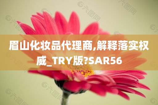 眉山化妆品代理商,解释落实权威_TRY版?SAR56