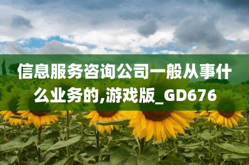 信息服务咨询公司一般从事什么业务的,游戏版_GD676